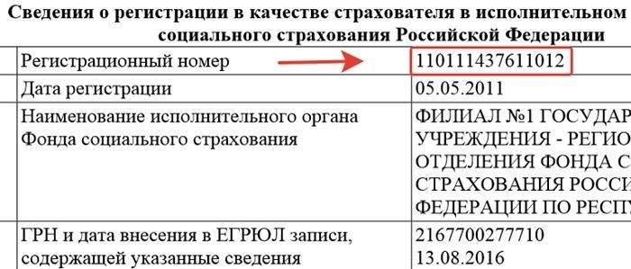 Территориальный орган ФСС России: Ключевая информация