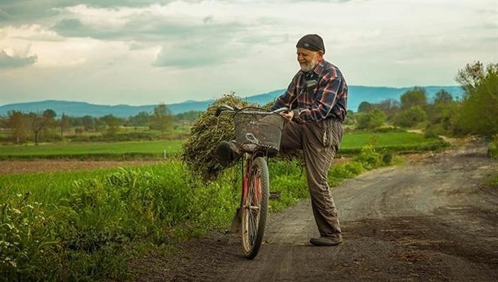 Трудности при оформлении дачной амнистии на дом или участок