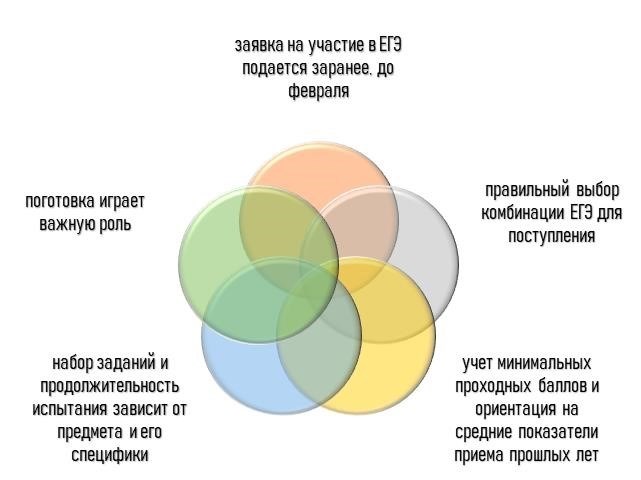 2. Широкий выбор профессий