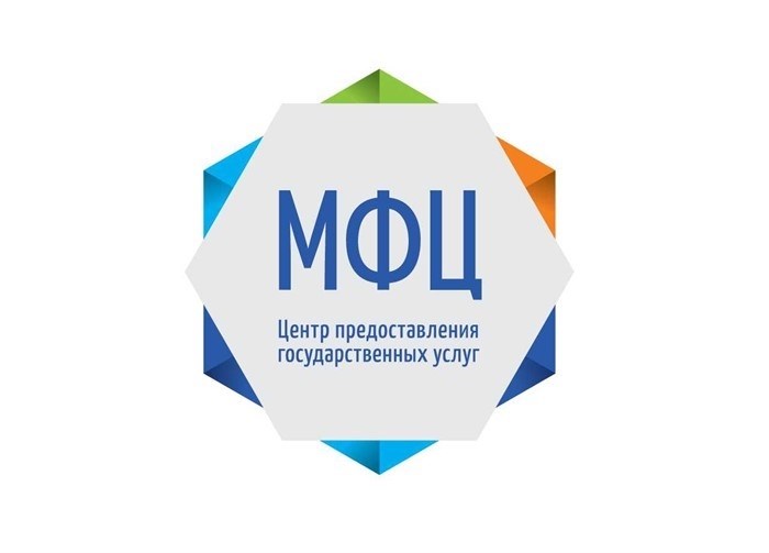 Структура и типы многофункциональных центров (МФЦ) в России