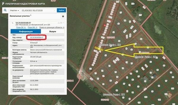 Какую информацию можно получить по кадастровому номеру?