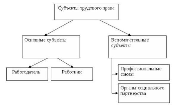 Коллективный договор и организация профсоюзов: важные аспекты в трудовом праве